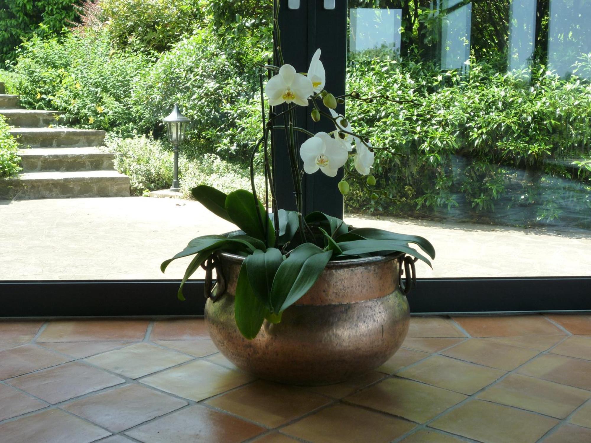 Country House Barone D'Asolo Ngoại thất bức ảnh